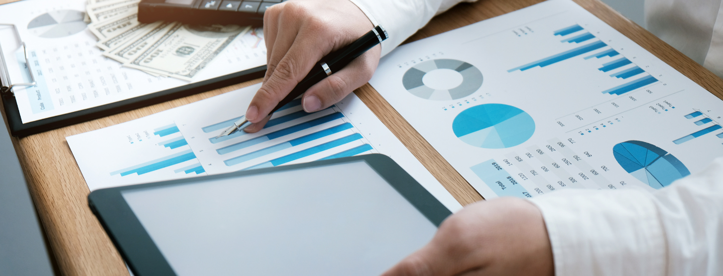 Company Audit